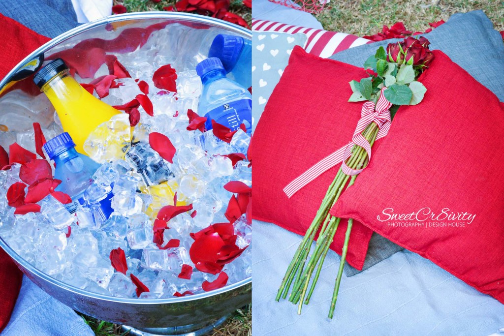 always and forever, dial a picnic, romantic proposal, durban botanical gardens, durban photography, sweetcr8ivity, couples photography
