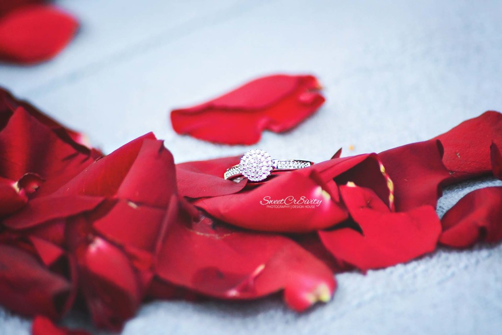 always and forever, dial a picnic, romantic proposal, durban botanical gardens, durban photography, sweetcr8ivity, couples photography, rose petals, diamond ring