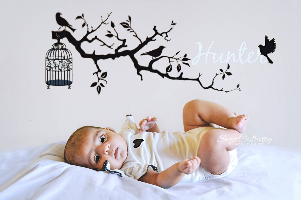 baby hunter, newborn photography durban, sweetcr8ivity,teepee,creative photography, pink tutu, bird wall art, perspective, durban photographer, pink petals, lantern, moodly blues crate, emotions, heart pegs, wooden floors, egg basket