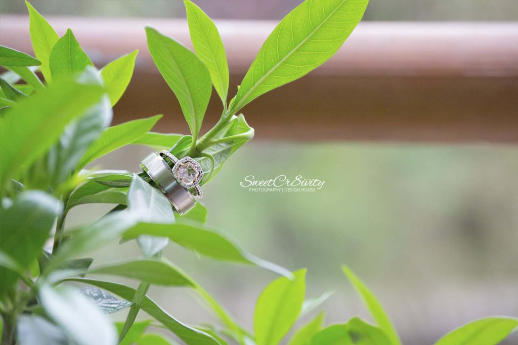 diane_jessen,weddingday,durban photography,shallcross,purple roses wedding cake,getting registered,sweetcr8ivity,aveen,elaine,creative,love,happy couple,making memories