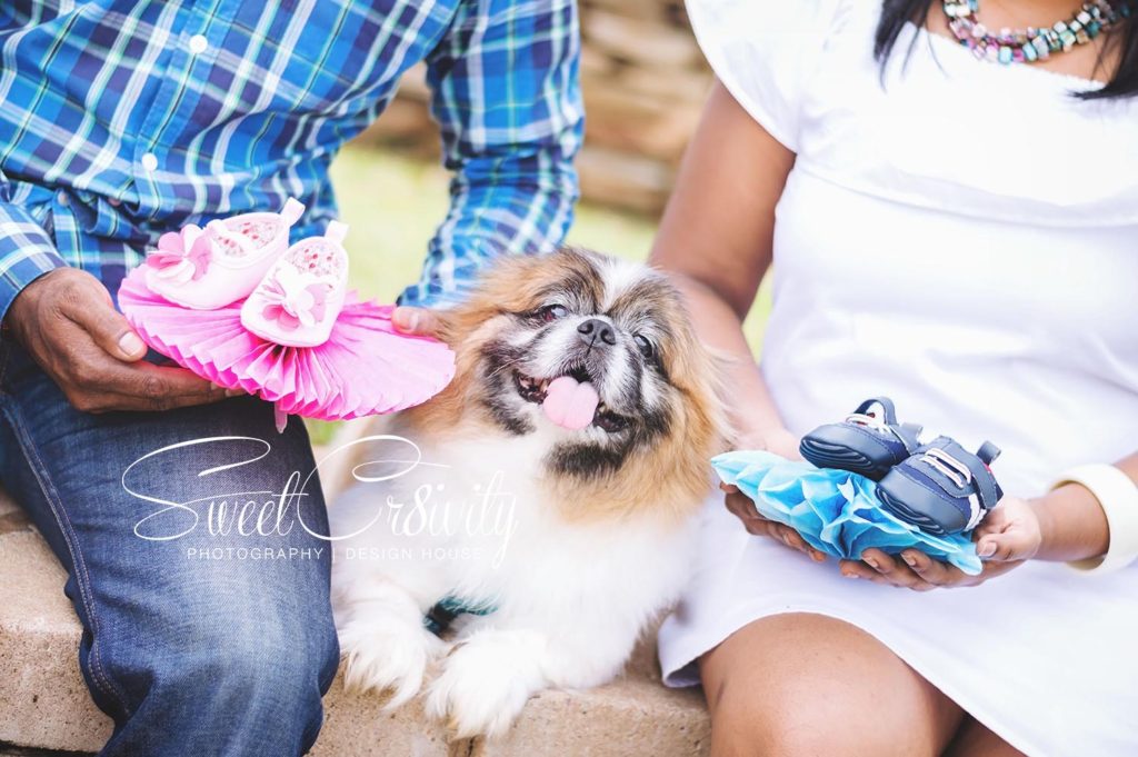 YVETTE’S PREGNANCY REVEAL SweetCr8ivity