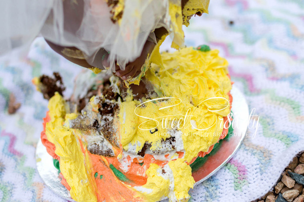 1st birthday cakesmash,family shoot,best durban photographers,umhlanga,chris saunders park,one,tutus,baby azriel,elaine and aveen lutchman,unicorn,daddys girl,smiles,love, laughter,