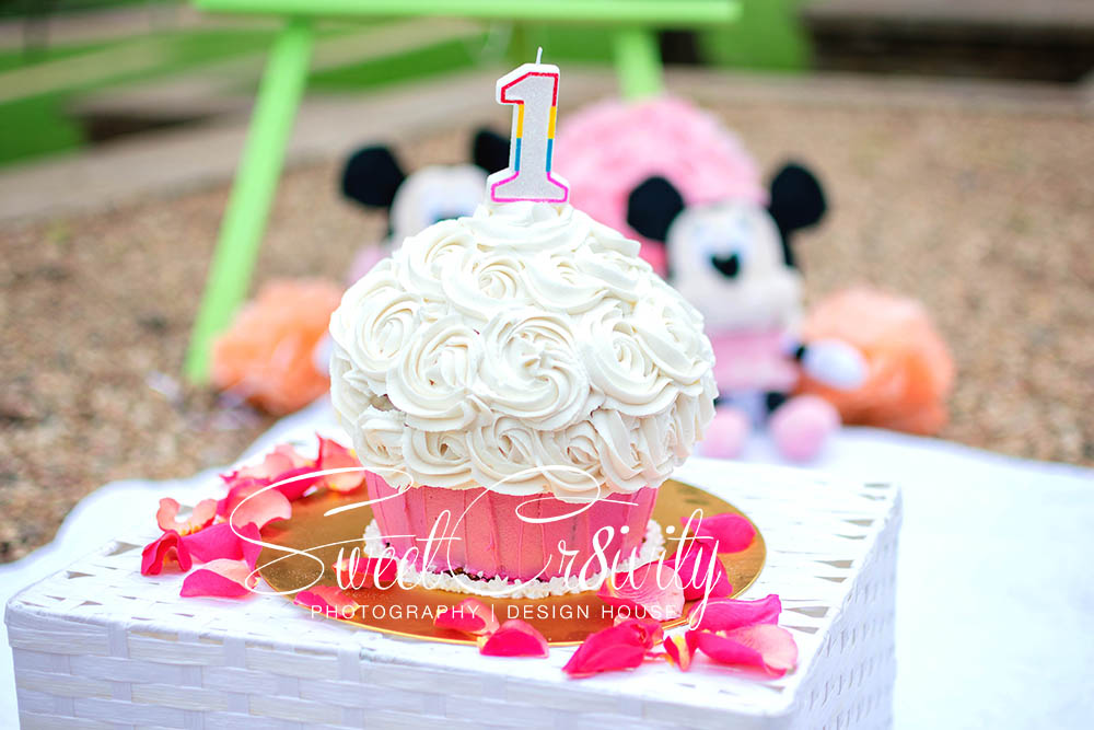minnie mouse themed cakesmash,family shoot,one,umhlanga,chris saunders park,venesha,elaine and aveen lutchman,smashed cake,roses,tutus and bows,fingers in cake,happy baby,SweetCr8ivity
