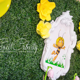 twins birthday party,themed parties, maya the bee, yellow and white, ladybug, thepolkadot company, umhlanga photographer, Sweetcr8ivity, soft play, izinga