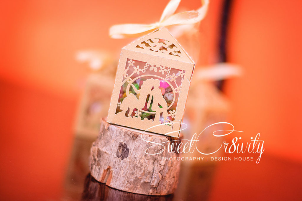 mumbai dreams, chris saunders park, creative shoot, best durban wedding photographers, getting ready, payals bridal, umhlanga, ravin jankhi, mc, mehendi, south indian wedding, bride and groom, peacock theme, sweetcr8ivity, snap that, love, emotions,detail,black and white photography, nikon,pink and white