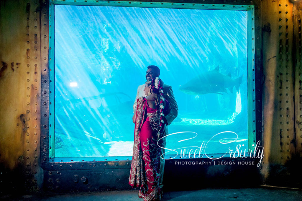 South indian wedding, best durban wedding photographers,ushaka marine world, dli hall, arthi sugrib,mystical pyros, samcat events, versatyl, shark, red sari, pre wedding shoot, creative, decor