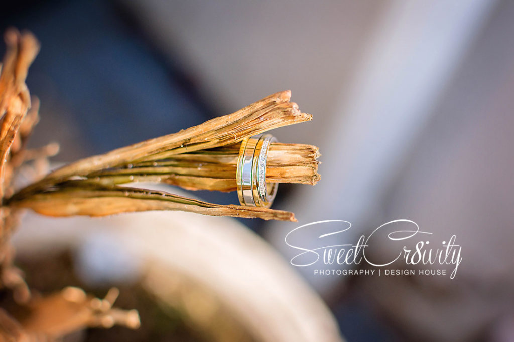 sweetcr8ivity,best durban wedding photographers, elaine and aveen lutchman, we love weddings, south indian bride, red sari, thali, Kharwastan Temple Hall,snap that, videography, cas weds sam, traditional, mehendi, its official,bmw,creative shots,coconut,fire,maharajs caterers