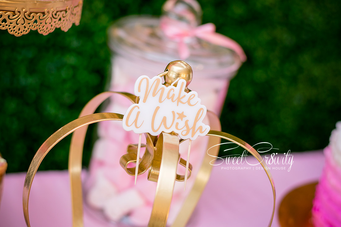 1st birthday party, party princess, themed kiddies parties, durban photographers, sweetcr8ivity, aveen and elaine lutchman, market cafe, baby girl, isla, make a wish