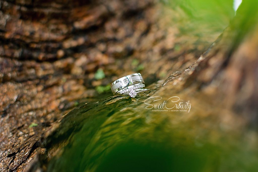 sweetcr8ivity,durban wedding photographers, Elaine and aver lutchman, Renee, nisharlin, Winchester function venue, Shirley naidoo, Hilton, Ganesha, hindu wedding, decor, pool wedding, love, creative shoot, durban photography, Allan chetty, toe ring