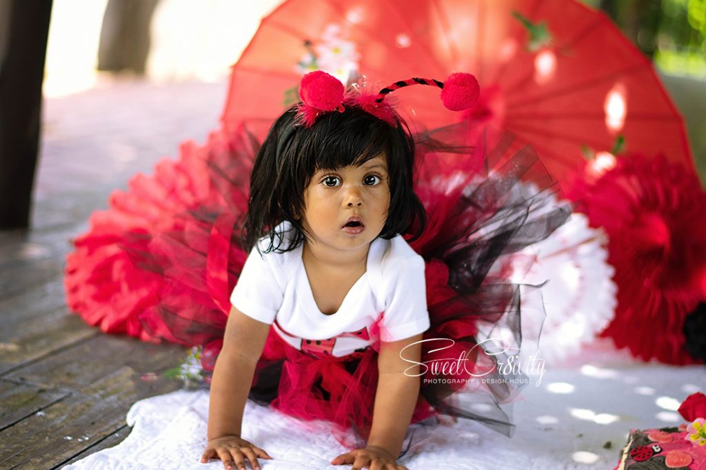 cakesmash, ladybug themed party, sweetcr8ivity, durban photographers, durban botanical gardens, tutus and bows, jayshree Appalsamy