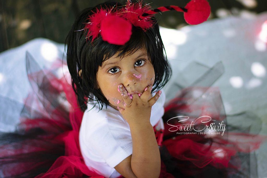 cakesmash, ladybug themed party, sweetcr8ivity, durban photographers, durban botanical gardens, tutus and bows, jayshree Appalsamy