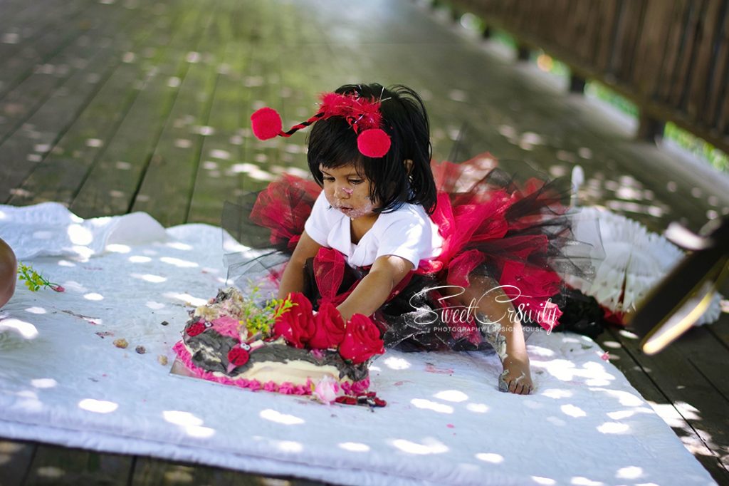 cakesmash, ladybug themed party, sweetcr8ivity, durban photographers, durban botanical gardens, tutus and bows, jayshree Appalsamy