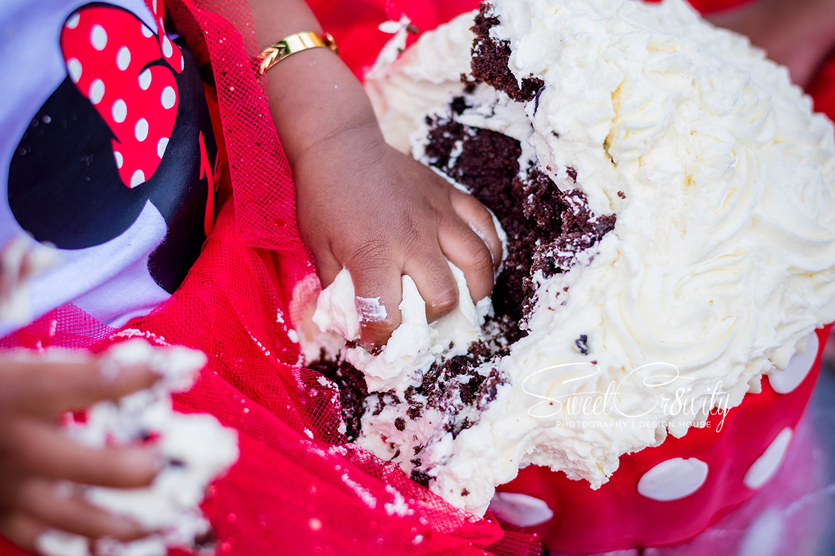 cake smash, photoshoot, 1st birthday, minnie mouse themed, chris saunders park, sweetcr8ivity, best durban photographers, family shoot, umhlanga, kids party photography, lushal and prevern