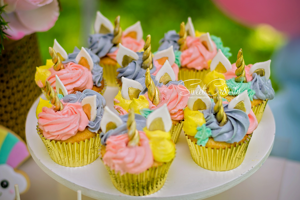 unicorn themed party, picnic, birthday, 1st, sweetcr8ivity, elaine and aveen lutchman, umhlanga, kiddies parties durban, nikon, best durban photographers, creative, ms waffles, couture cakes by masooda emam, izinga ridge